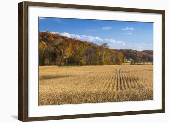 Ripe Cornfield and Barn in Brown County, Indiana, USA-Chuck Haney-Framed Photographic Print