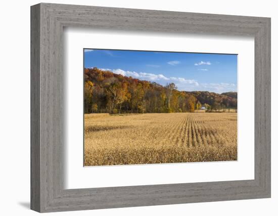 Ripe Cornfield and Barn in Brown County, Indiana, USA-Chuck Haney-Framed Photographic Print