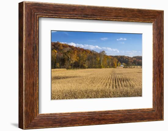 Ripe Cornfield and Barn in Brown County, Indiana, USA-Chuck Haney-Framed Photographic Print
