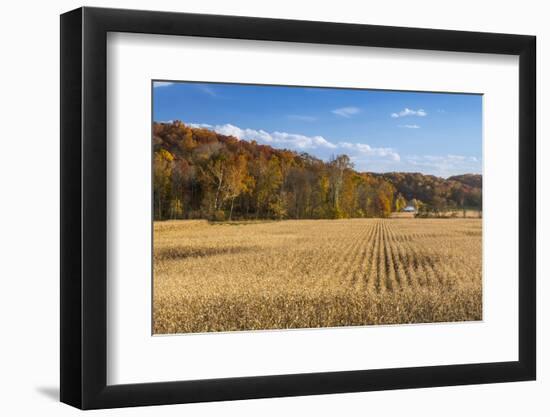 Ripe Cornfield and Barn in Brown County, Indiana, USA-Chuck Haney-Framed Photographic Print