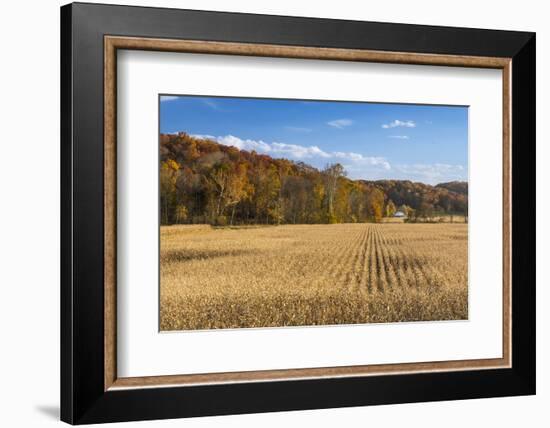 Ripe Cornfield and Barn in Brown County, Indiana, USA-Chuck Haney-Framed Photographic Print