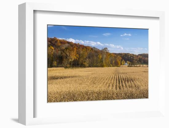 Ripe Cornfield and Barn in Brown County, Indiana, USA-Chuck Haney-Framed Photographic Print