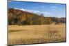 Ripe Cornfield and Barn in Brown County, Indiana, USA-Chuck Haney-Mounted Photographic Print