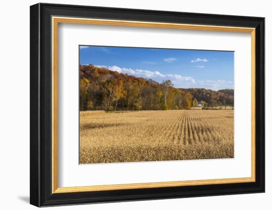 Ripe Cornfield and Barn in Brown County, Indiana, USA-Chuck Haney-Framed Photographic Print