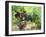 Ripe Grapes in the Vineyard, Domaine Pech-Redon, Coteaux Du Languedoc La Clape-Per Karlsson-Framed Photographic Print