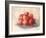 Ripe Peaches-Carol Rowan-Framed Art Print