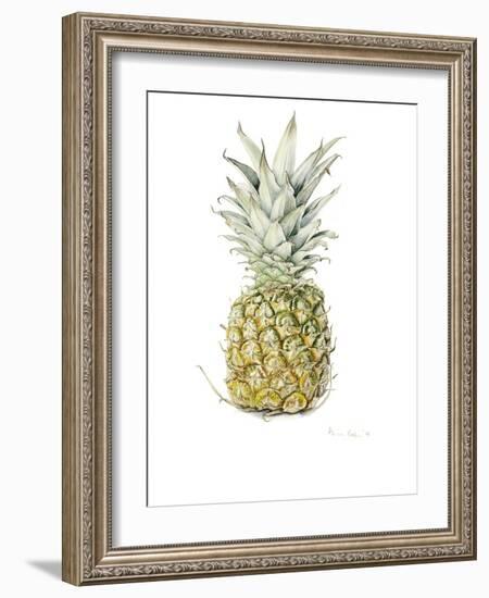 Ripe Pineapple, 2016-Alison Cooper-Framed Giclee Print