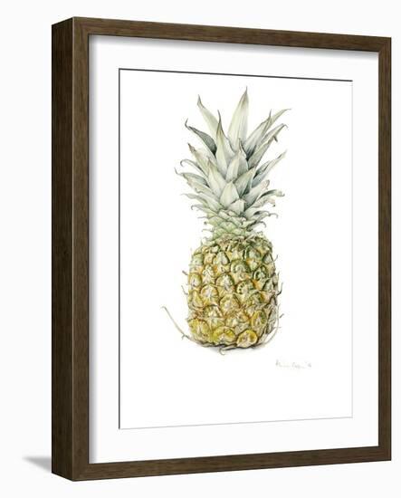 Ripe Pineapple, 2016-Alison Cooper-Framed Giclee Print