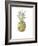 Ripe Pineapple, 2016-Alison Cooper-Framed Giclee Print