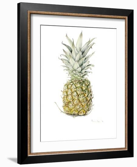 Ripe Pineapple, 2016-Alison Cooper-Framed Giclee Print