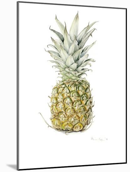 Ripe Pineapple, 2016-Alison Cooper-Mounted Giclee Print