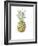 Ripe Pineapple, 2016-Alison Cooper-Framed Giclee Print