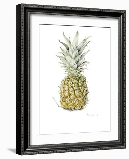 Ripe Pineapple, 2016-Alison Cooper-Framed Giclee Print