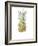 Ripe Pineapple, 2016-Alison Cooper-Framed Giclee Print