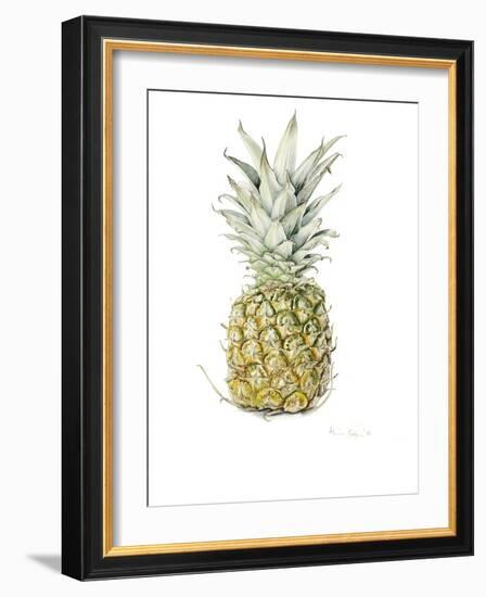 Ripe Pineapple, 2016-Alison Cooper-Framed Giclee Print