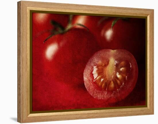 Ripe Red Tomatoes-Steve Lupton-Framed Premier Image Canvas