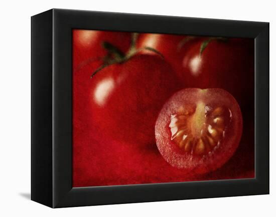 Ripe Red Tomatoes-Steve Lupton-Framed Premier Image Canvas