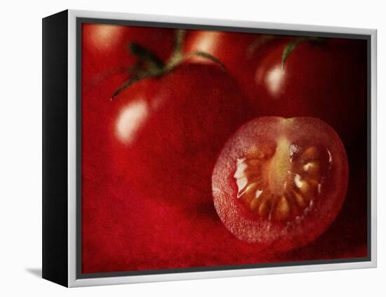 Ripe Red Tomatoes-Steve Lupton-Framed Premier Image Canvas