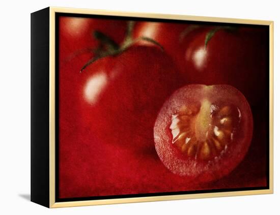 Ripe Red Tomatoes-Steve Lupton-Framed Premier Image Canvas