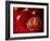 Ripe Red Tomatoes-Steve Lupton-Framed Photographic Print