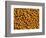 Ripe Soybeans-Chuck Haney-Framed Photographic Print