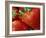 Ripe Strawberries-Chuck Haney-Framed Photographic Print