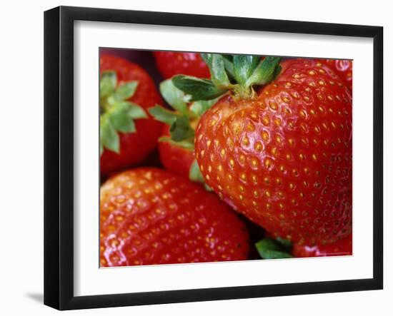 Ripe Strawberries-Chuck Haney-Framed Photographic Print