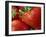 Ripe Strawberries-Chuck Haney-Framed Photographic Print