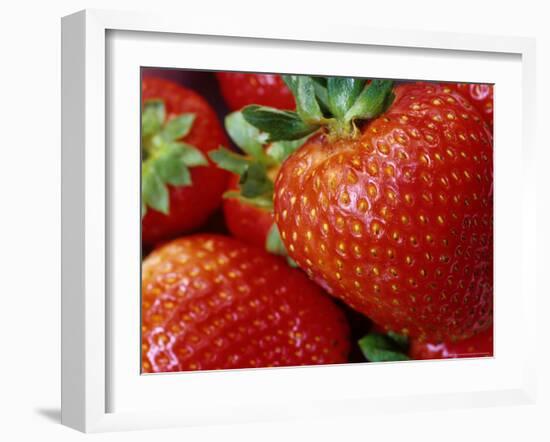 Ripe Strawberries-Chuck Haney-Framed Photographic Print