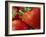 Ripe Strawberries-Chuck Haney-Framed Photographic Print