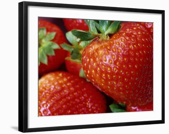 Ripe Strawberries-Chuck Haney-Framed Photographic Print