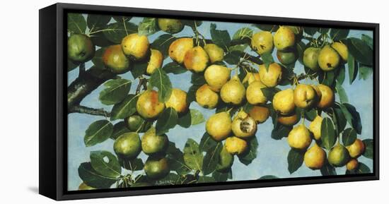 Ripening Pears, c.1884-1885-Joseph Decker-Framed Stretched Canvas