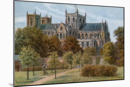 Ripon Cathedral-Alfred Robert Quinton-Mounted Giclee Print