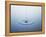 Ripple on Water-Taro Yamada-Framed Premier Image Canvas