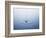 Ripple on Water-Taro Yamada-Framed Photographic Print