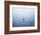 Ripple on Water-Taro Yamada-Framed Photographic Print