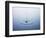 Ripple on Water-Taro Yamada-Framed Photographic Print