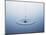 Ripple on Water-Taro Yamada-Mounted Photographic Print