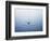 Ripple on Water-Taro Yamada-Framed Photographic Print