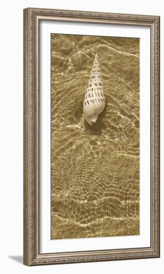 Ripple Shell I-Tony Koukos-Framed Giclee Print