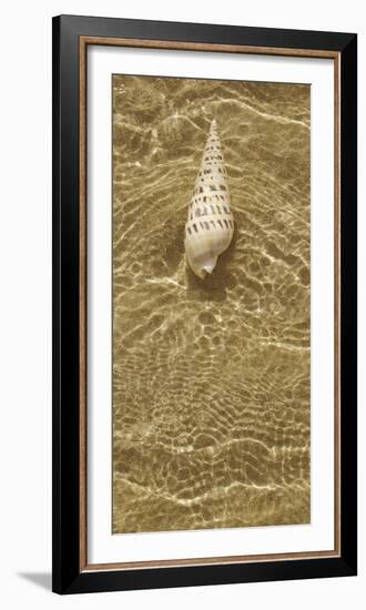 Ripple Shell I-Tony Koukos-Framed Giclee Print