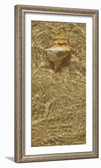 Ripple Shell IV-Tony Koukos-Framed Giclee Print