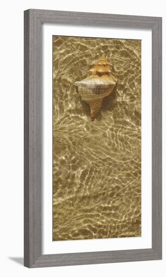 Ripple Shell IV-Tony Koukos-Framed Giclee Print