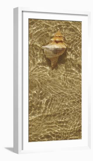 Ripple Shell IV-Tony Koukos-Framed Giclee Print