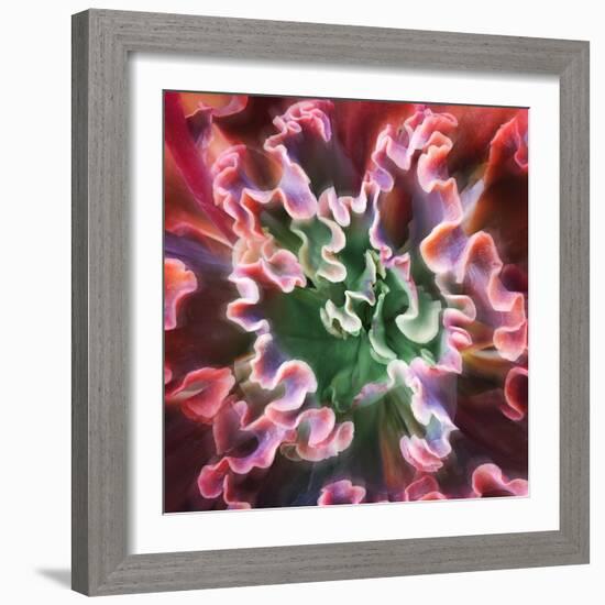 Rippled Edges-Jan Bell-Framed Photographic Print