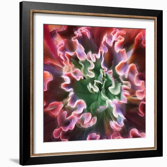 Rippled Edges-Jan Bell-Framed Photographic Print