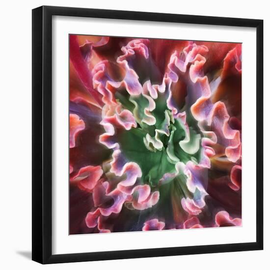 Rippled Edges-Jan Bell-Framed Photographic Print