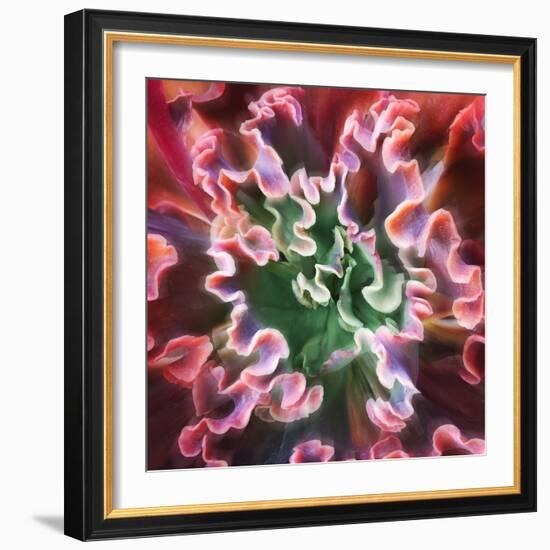 Rippled Edges-Jan Bell-Framed Photographic Print