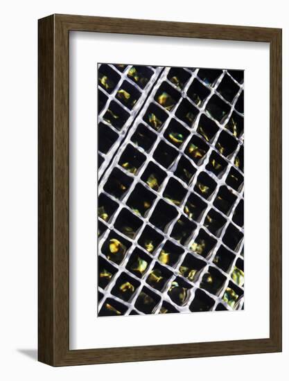 Rippled Steel II-Alan Hausenflock-Framed Photographic Print