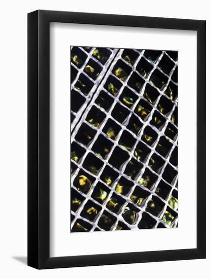 Rippled Steel II-Alan Hausenflock-Framed Photographic Print